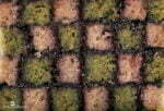 cake damier final Ken Thomas