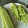 concombre julienne tailler