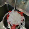 konjac rincer