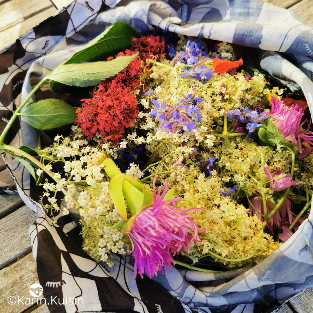 fleur comestible