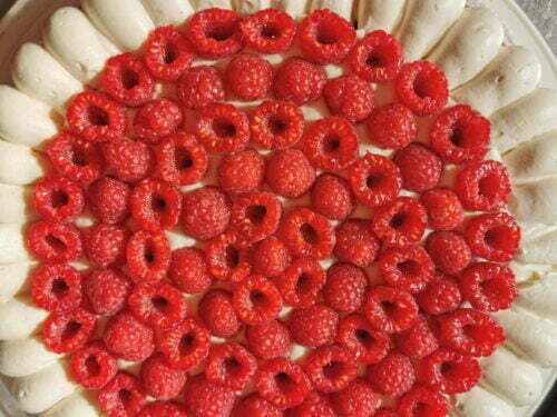 framboise tarte garnir