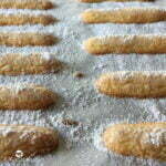 biscuit cuillère cuisson
