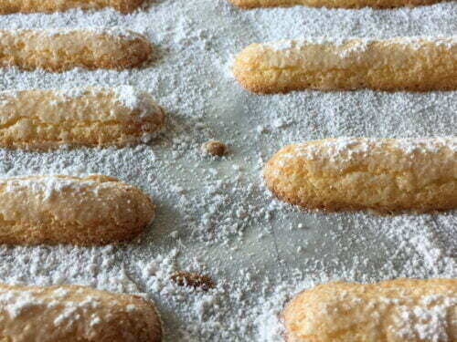 biscuit cuillère cuisson