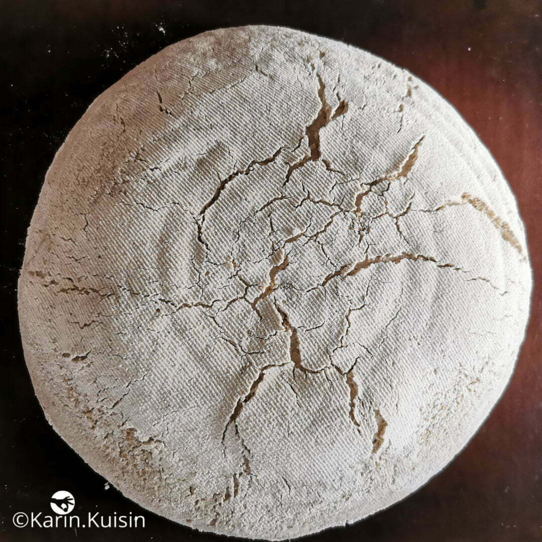 tourte méteil enfourner