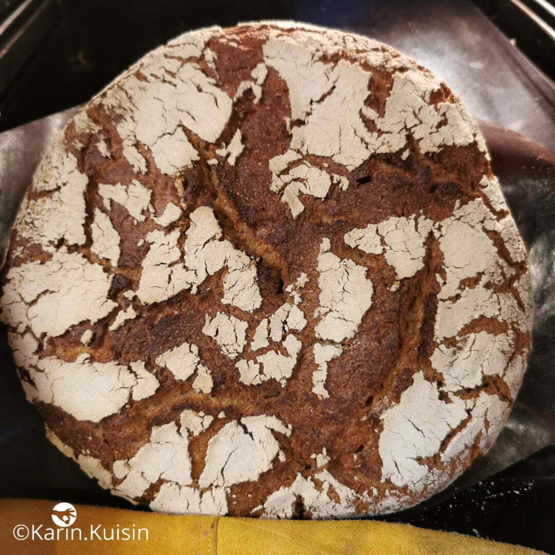 tourte méteil final