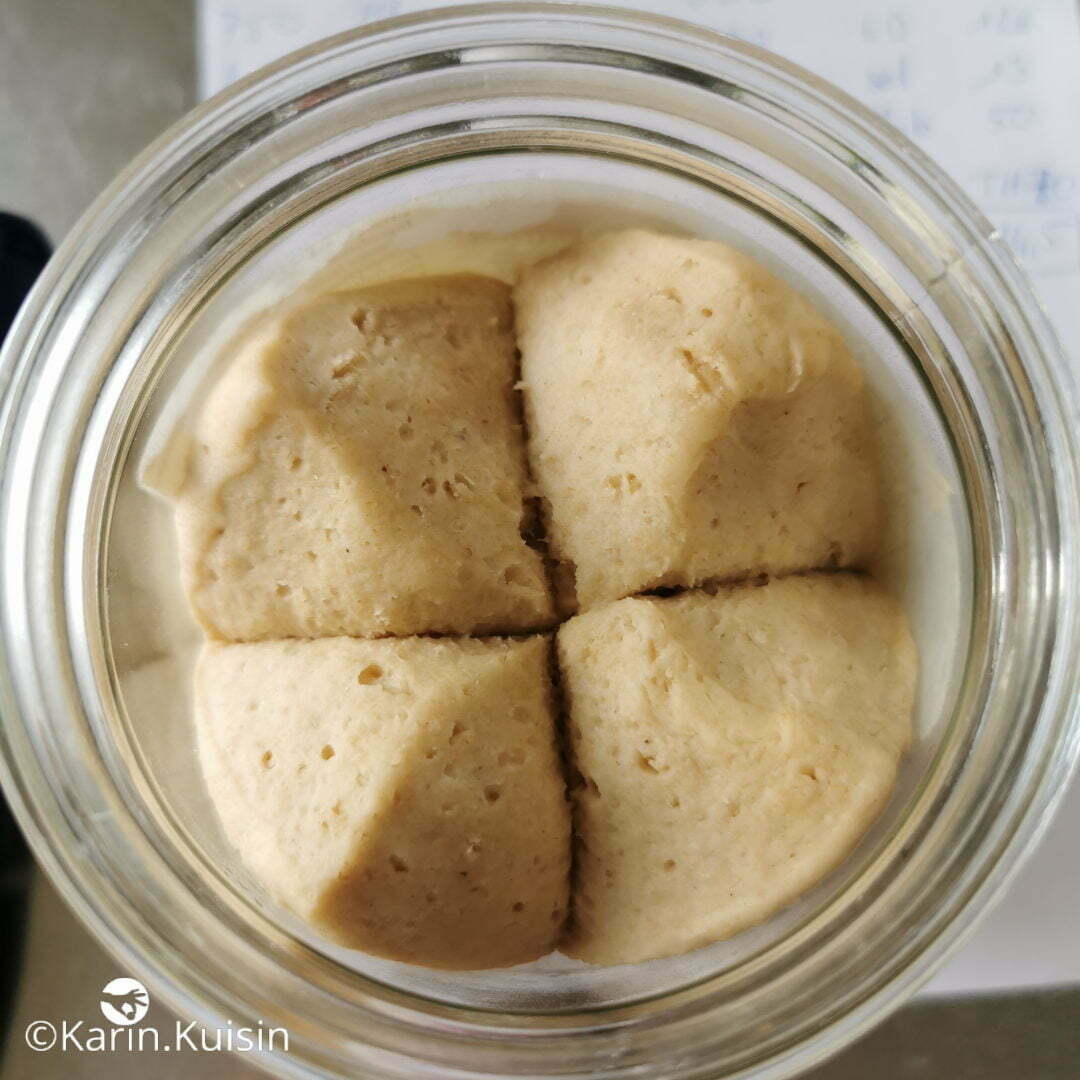 levain appogée