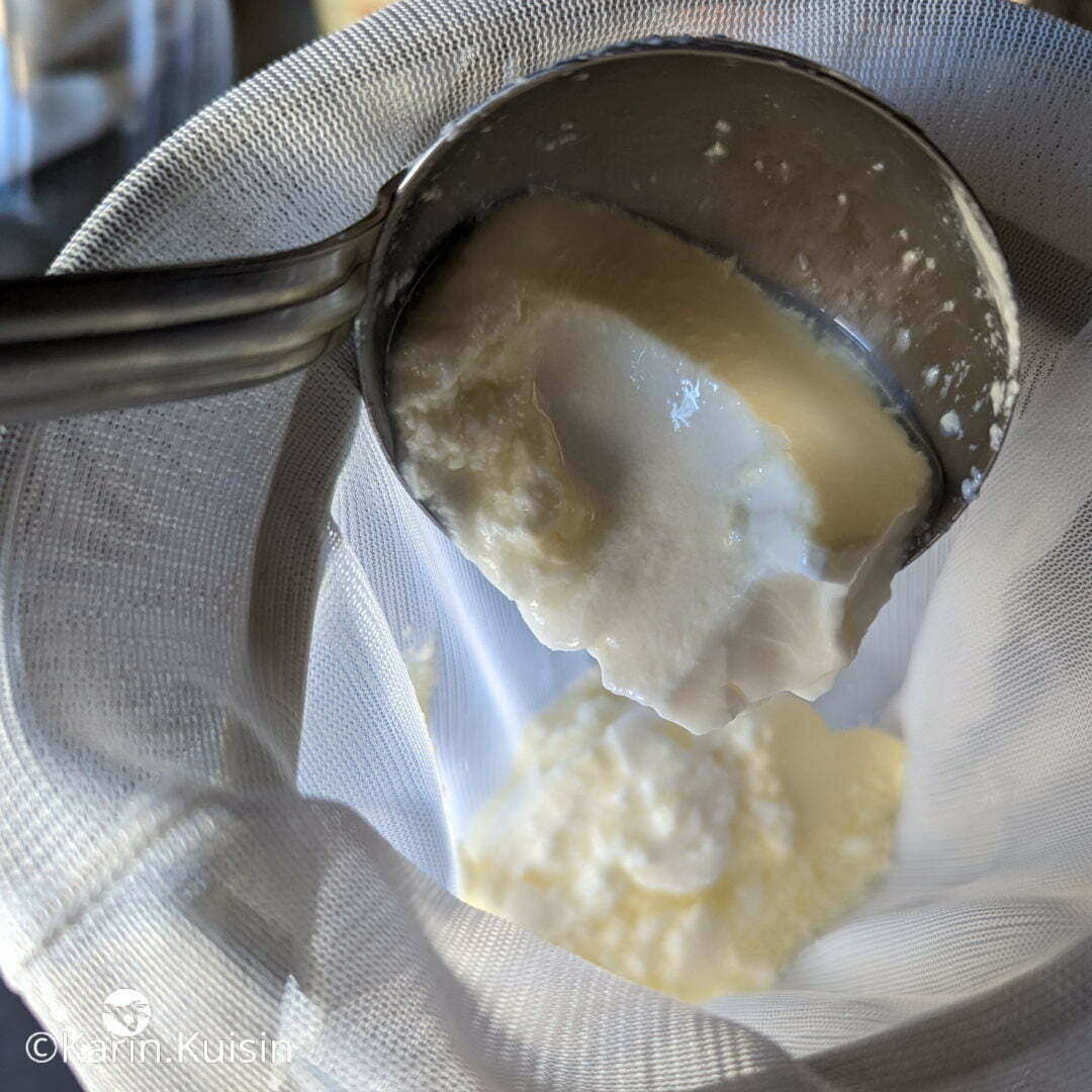lait caillé prélever