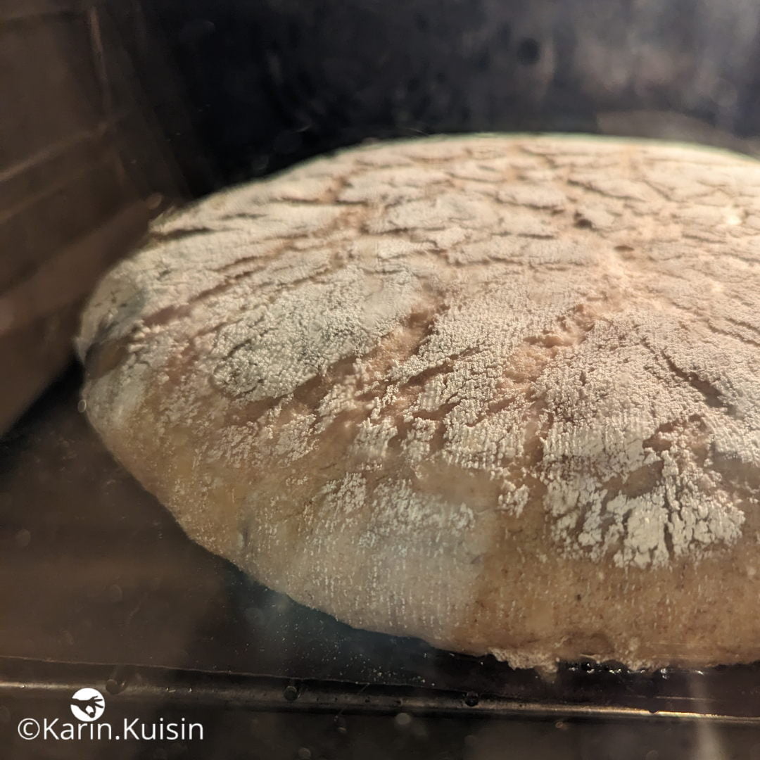 tourte méteil cuisson