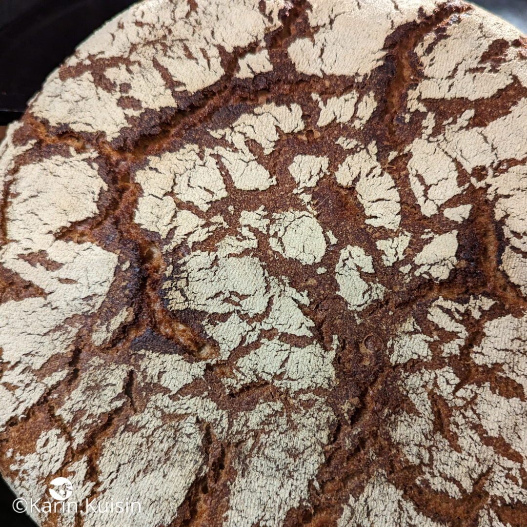 tourte méteil final