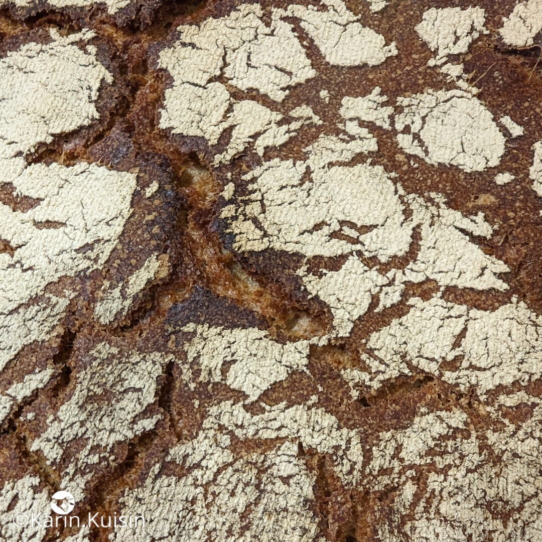 tourte méteil final