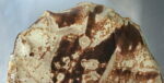 crêpe cuisson froment