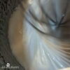 blanc oeuf sirop fouetter