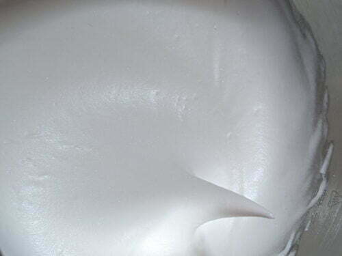 blanc bec oiseau