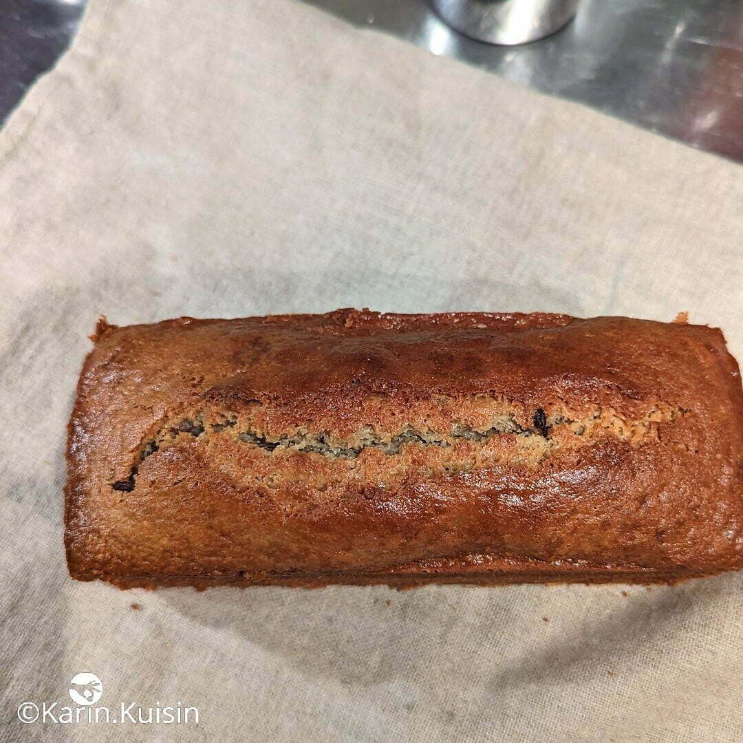 cake noix chocolat final