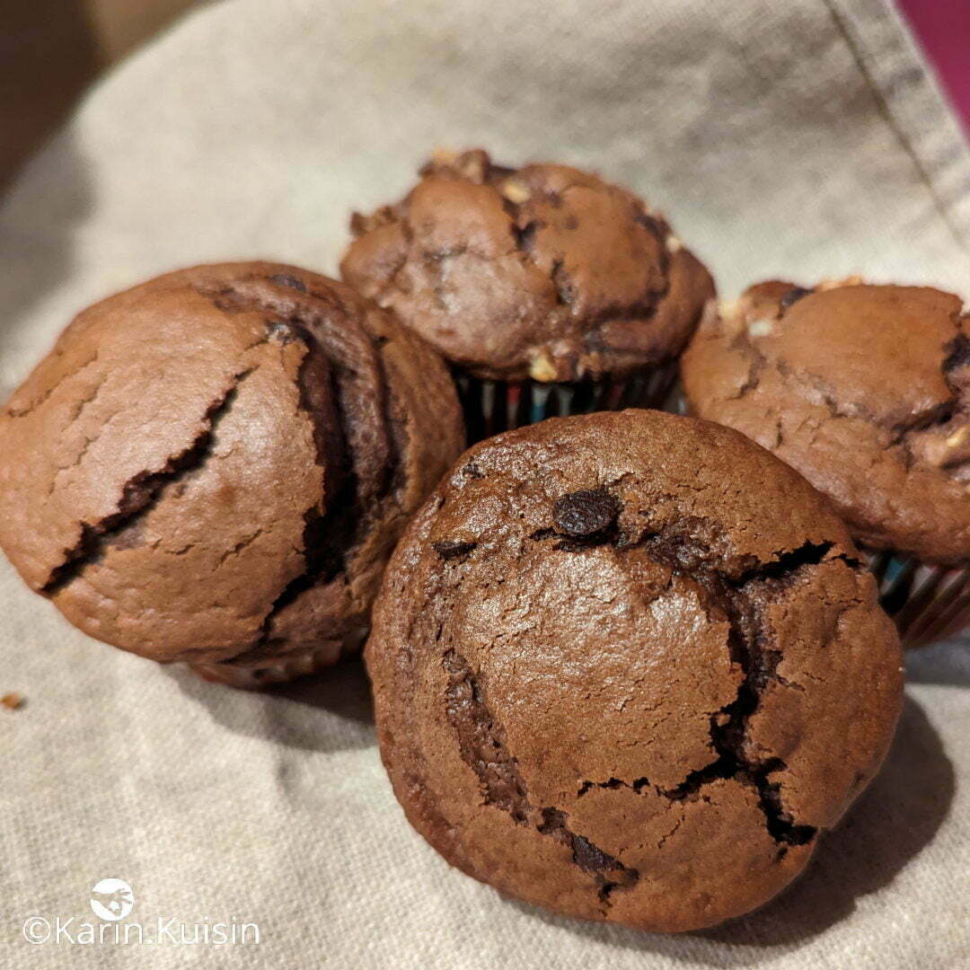 muffin chocolat final