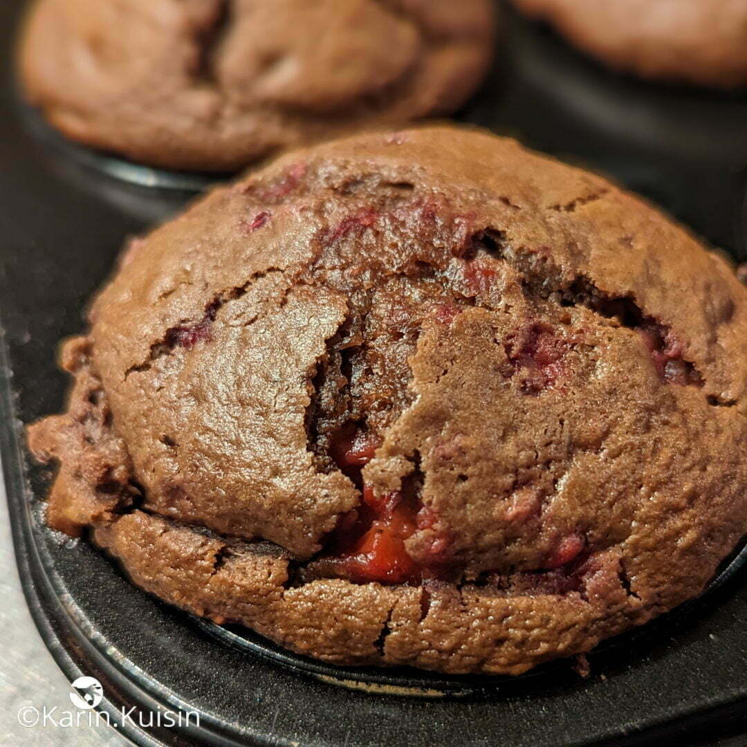 muffin cuisson