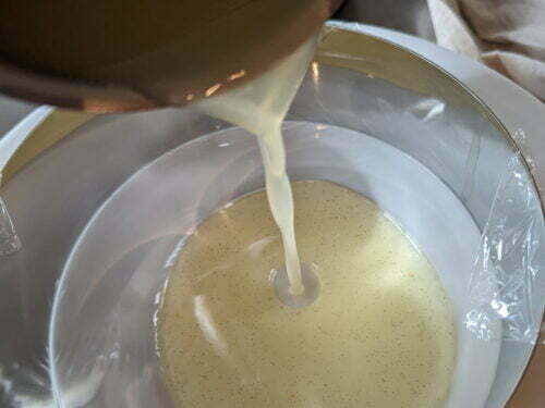 voile citron verser