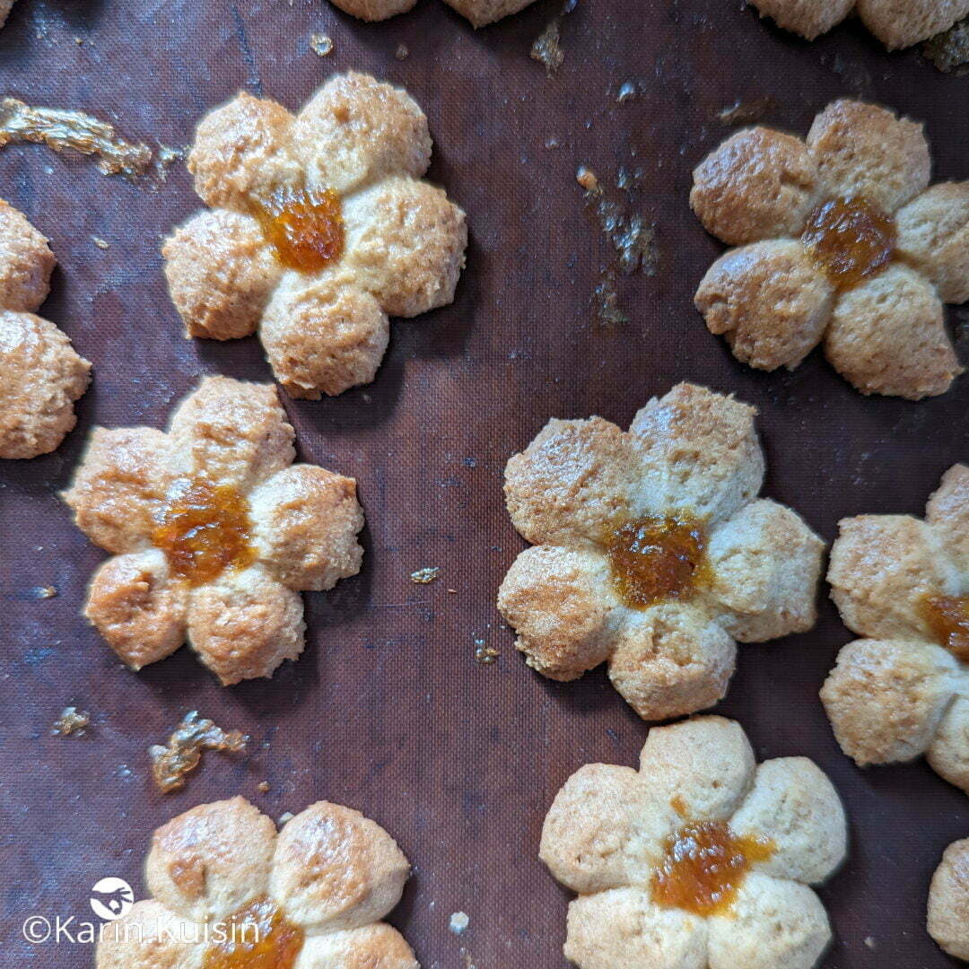 biscuit cuisson