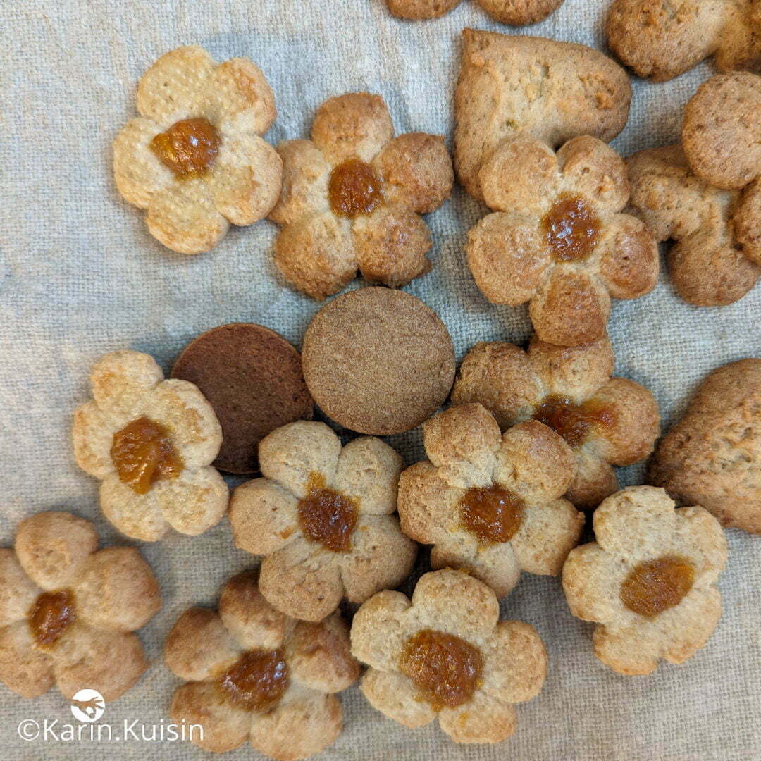 biscuit final