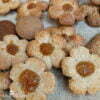 biscuit final