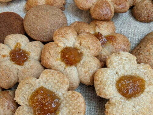 biscuit final