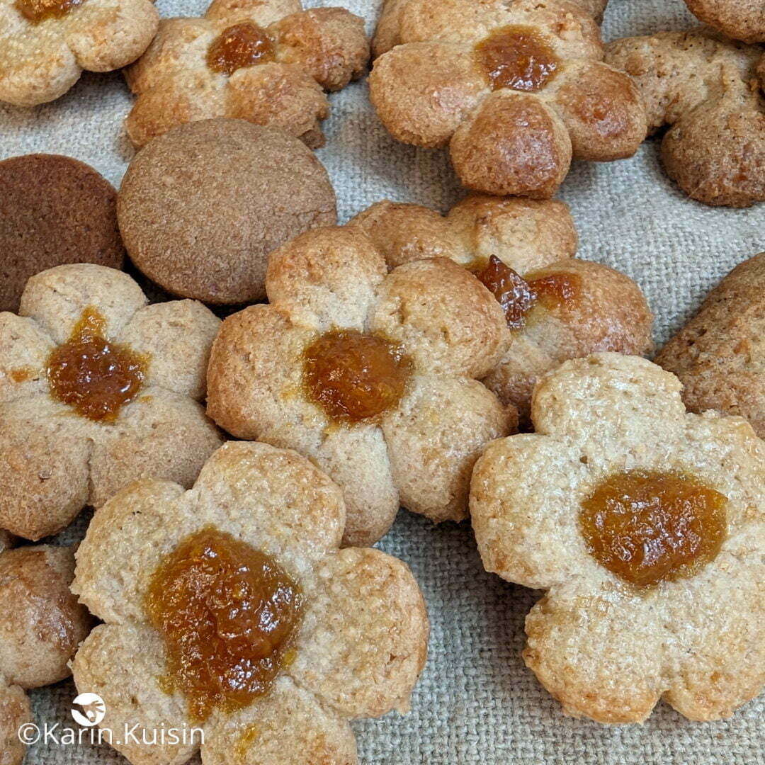 biscuit final