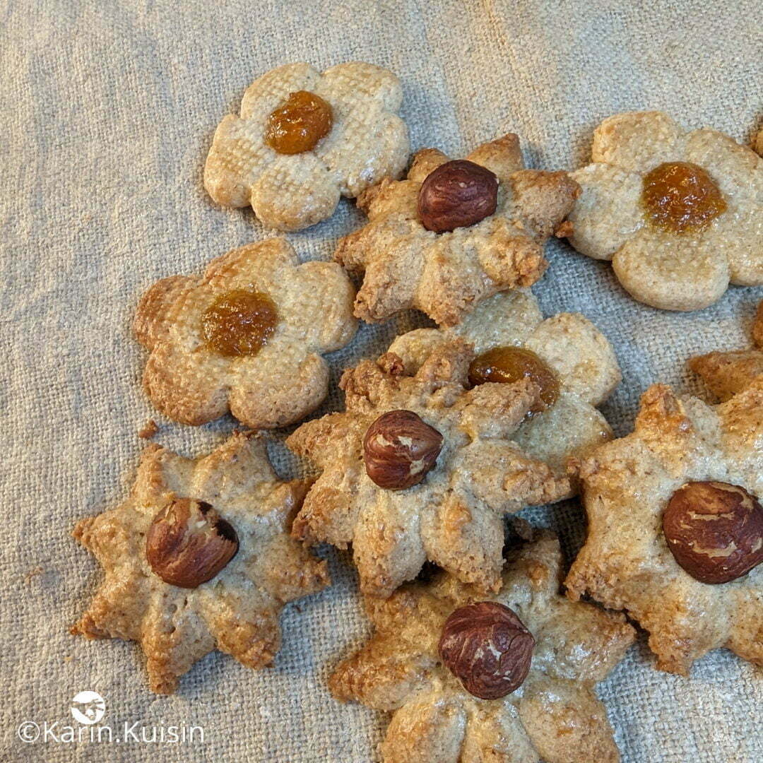 biscuit final