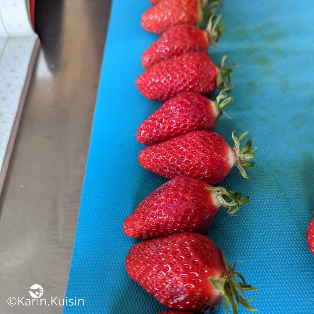 fraisier fraises choisir