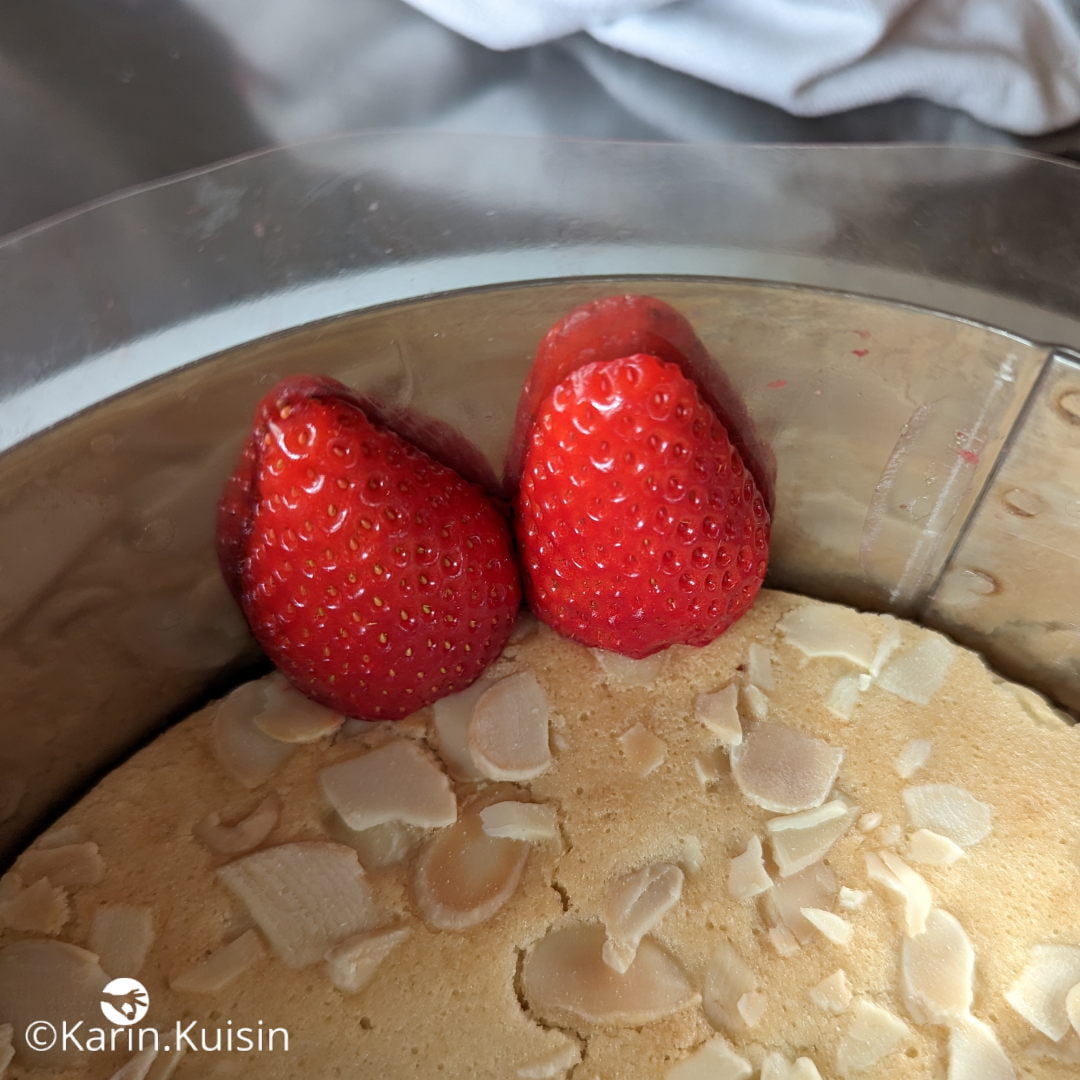 fraisier fraise ajouter montage