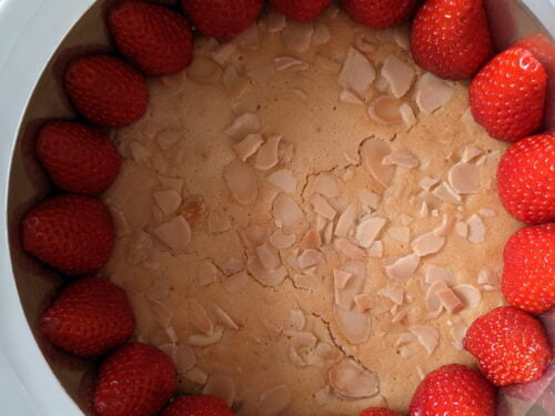 fraisier fraise ajouter montage