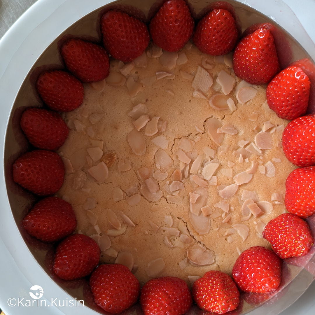 fraisier fraise ajouter montage