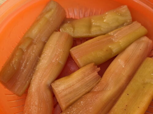 rhubarbe égoutter