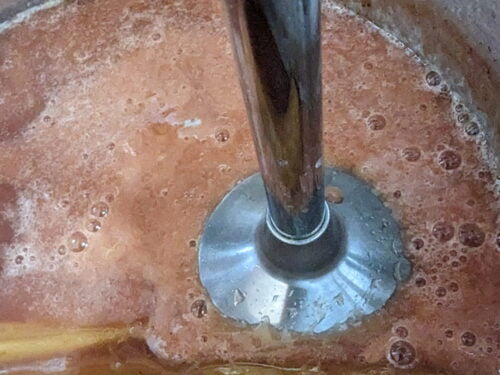 rhubarbe jus fraise mixer