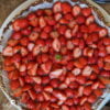 montage fraise couper disposer