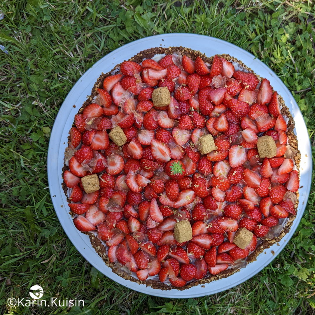 tarte fraise rhubarbe Karin final