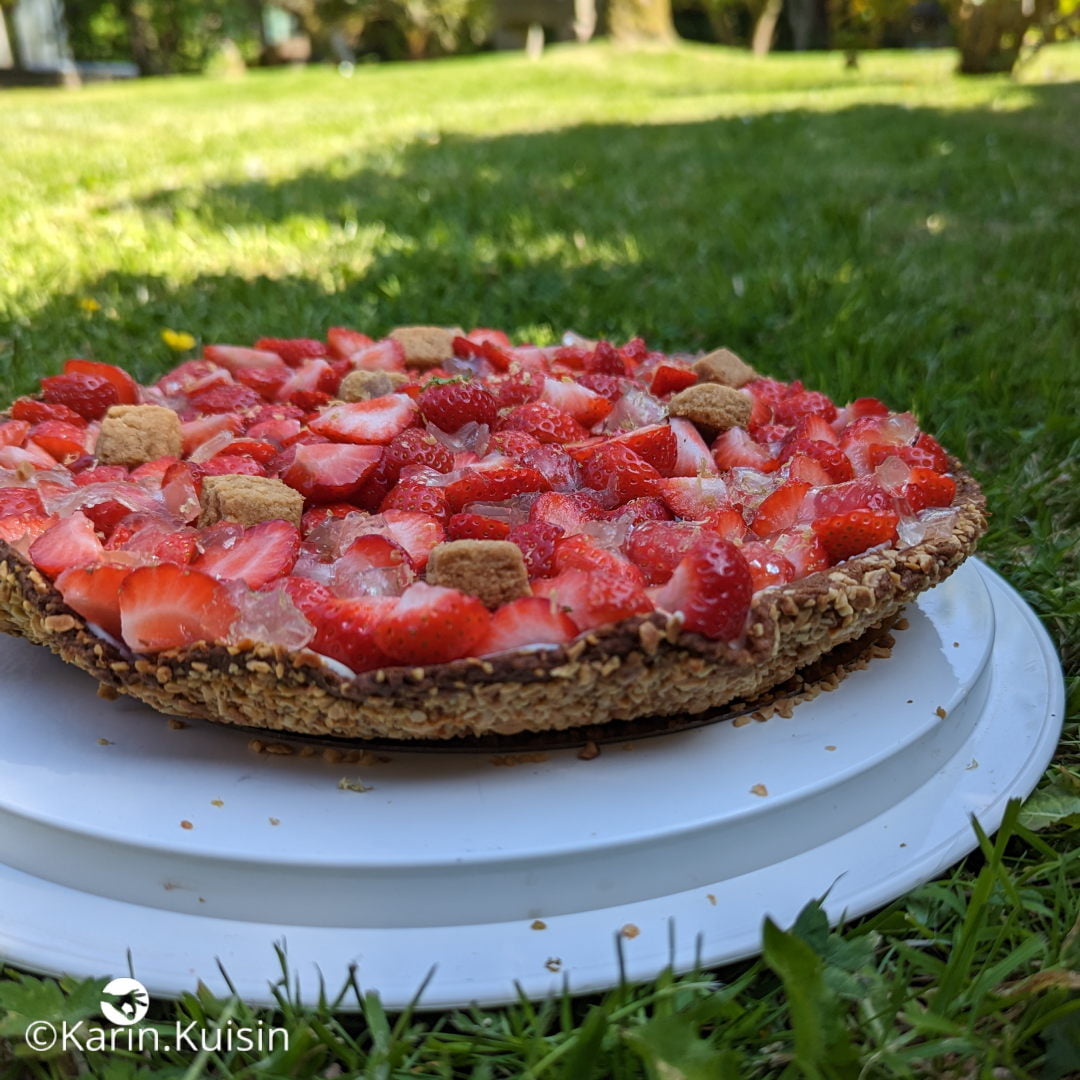 tarte fraise rhubarbe Karin final