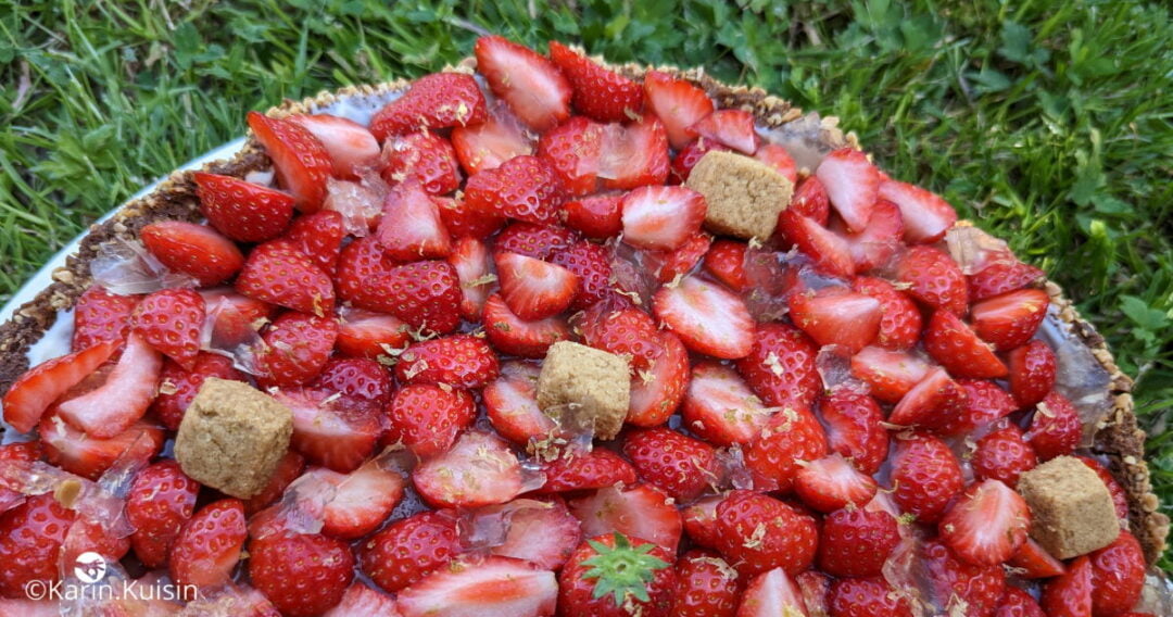 tarte fraise rhubarbe Karin final