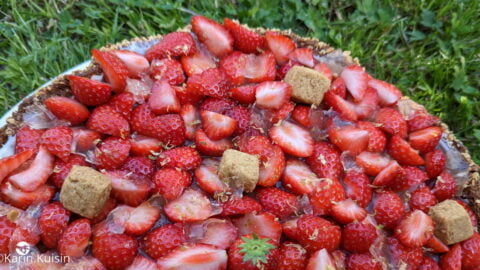 tarte fraise rhubarbe Karin final