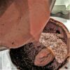 mousse chocolat noir cercle couler
