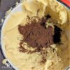 pâte biscuit napolitain cacao ajouter