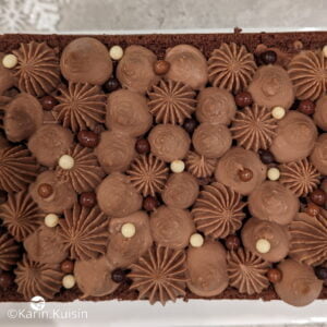 Charlotte au format bûche