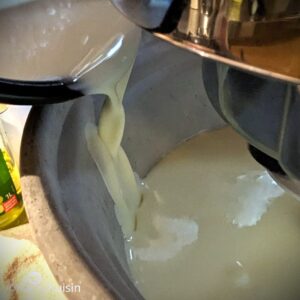appareil glace lait cru sorbetière verser