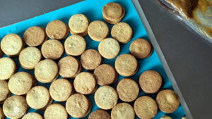 fond tartelette biscuit final