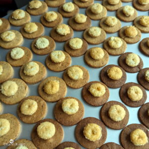 disque biscuit déposer