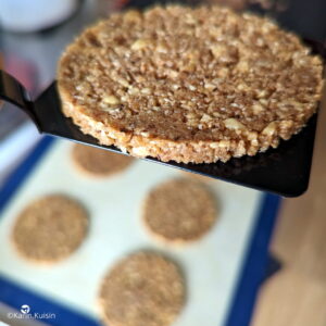biscuit reconstitué fond réaliser