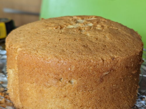 chiffon cake nature final