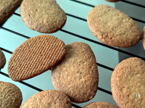 biscuit speculoos refroidir