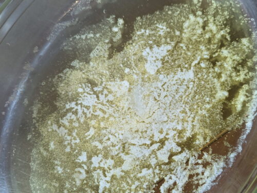 beurre plat fondre